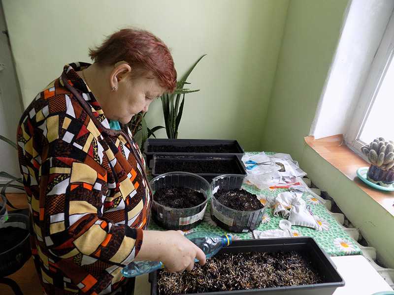 Гарденотерапия