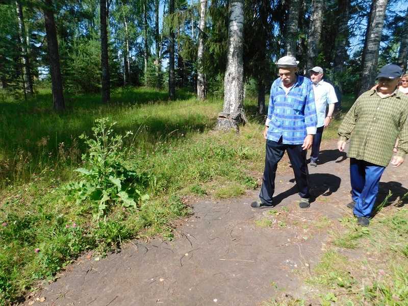 Прогулка на свежем воздухе