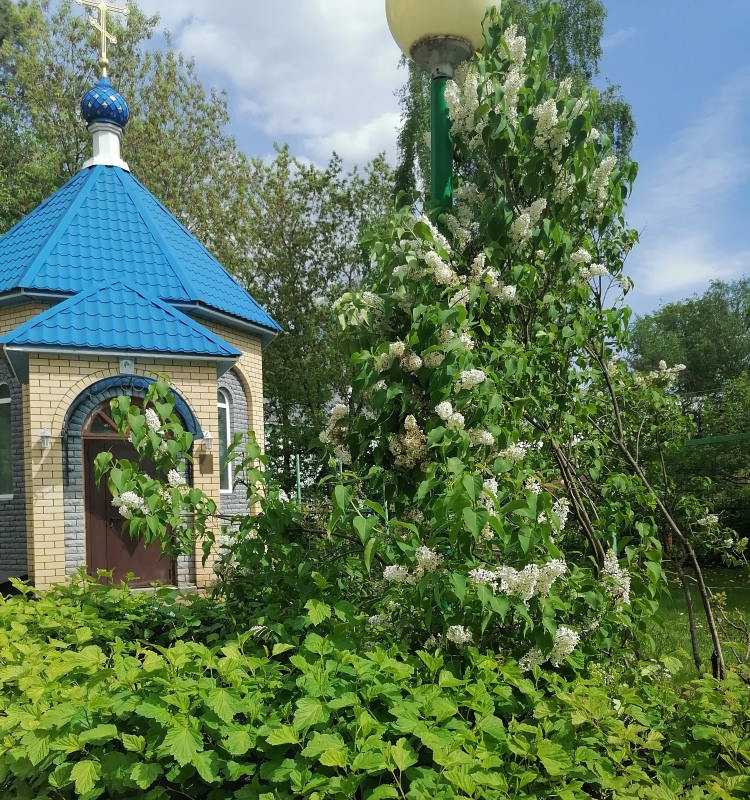 Вся земля теплом согрета