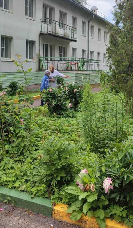  Регулярные прогулки на свежем воздухе полезны для ветеранов не только физически, но и психологически. 
