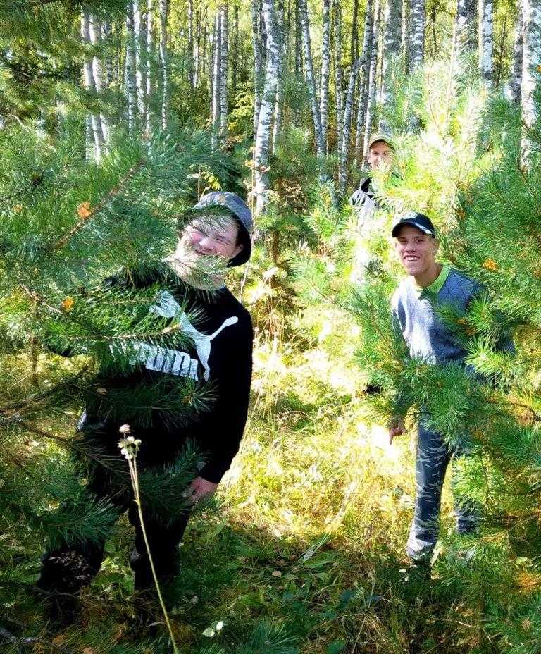 Прогулка в лес.