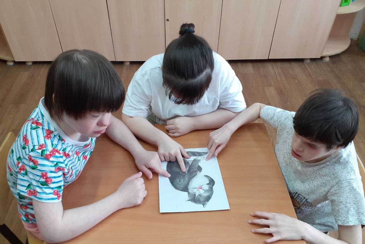 «Кошачьи приключения»